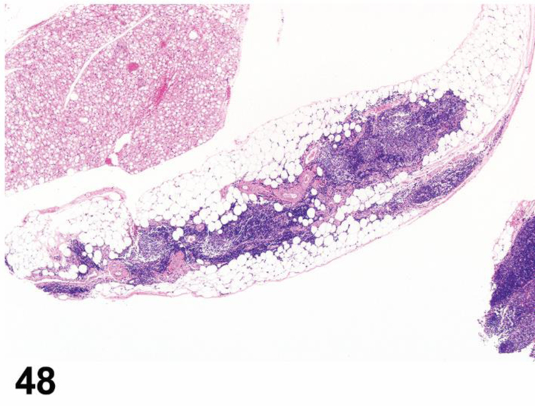 Figure 48.