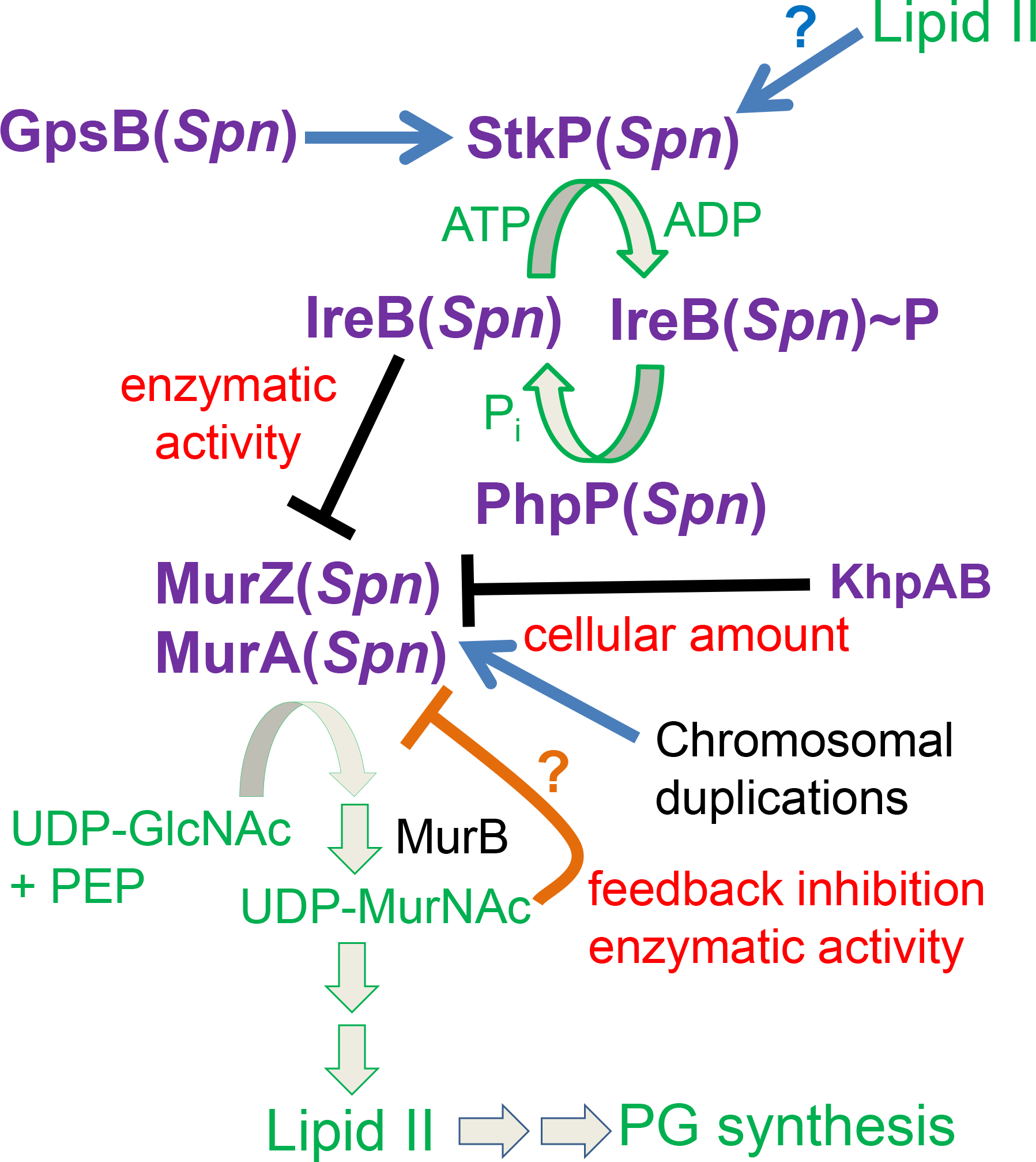 Figure 12.