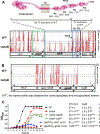 Figure 10.
