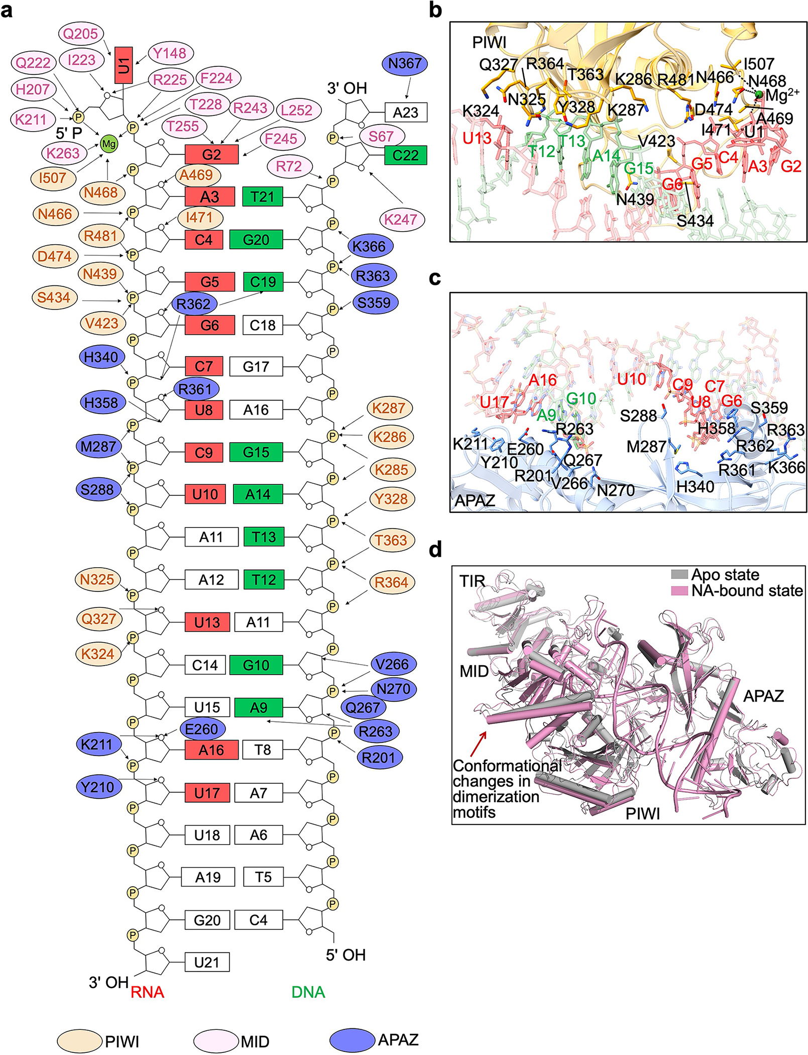 Extended Data Fig. 8 |