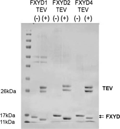 FIGURE 1.