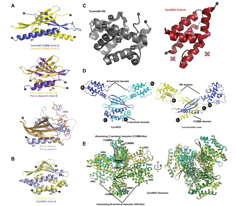 Figure 4—figure supplement 4.