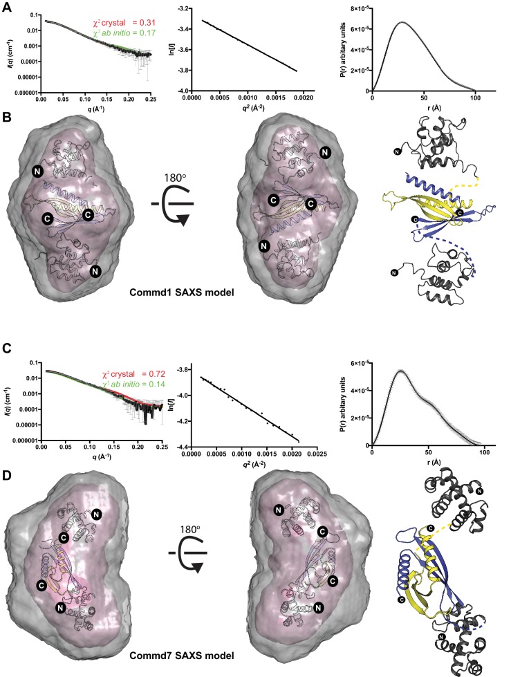 Figure 4—figure supplement 2.