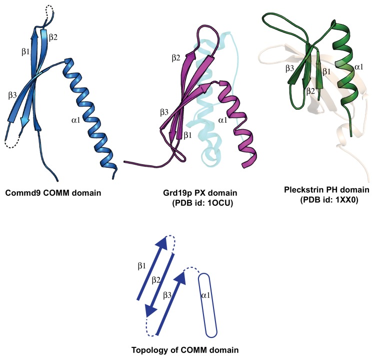 Figure 4—figure supplement 3.