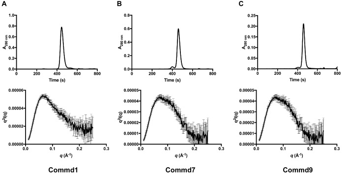 Figure 4—figure supplement 1.