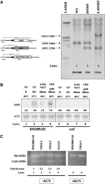 Figure 6.