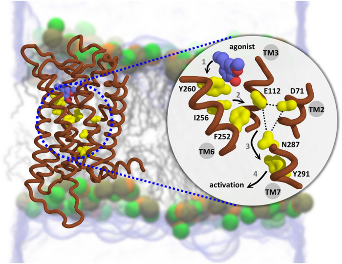 Figure 7