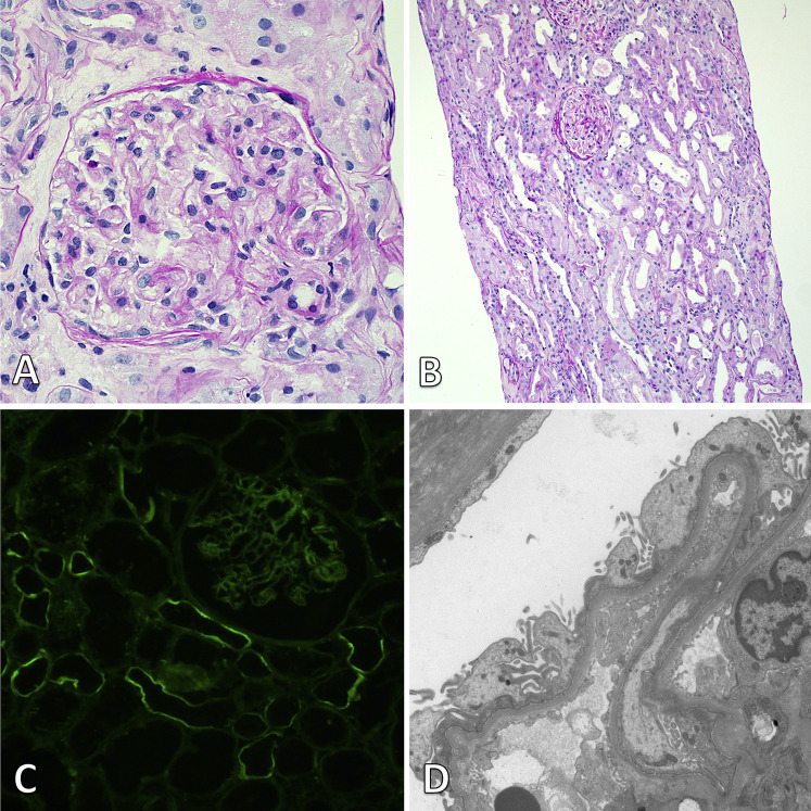 Figure 2