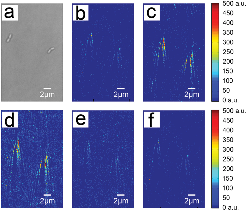 Figure 2.