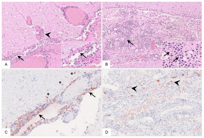 Figure 15