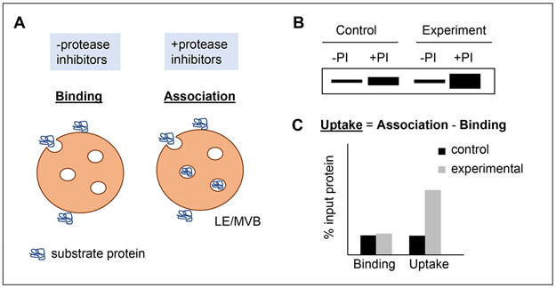 Figure 2: