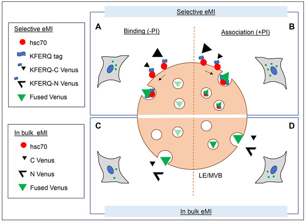 Figure 3: