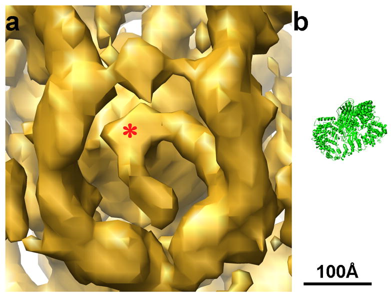 Figure 7