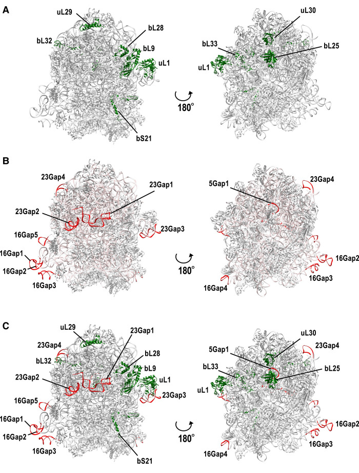 FIGURE 6.