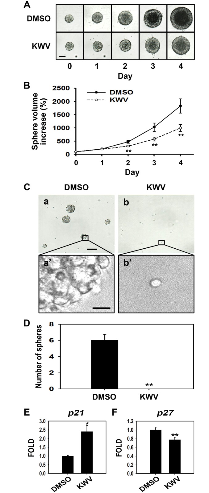 Fig 5