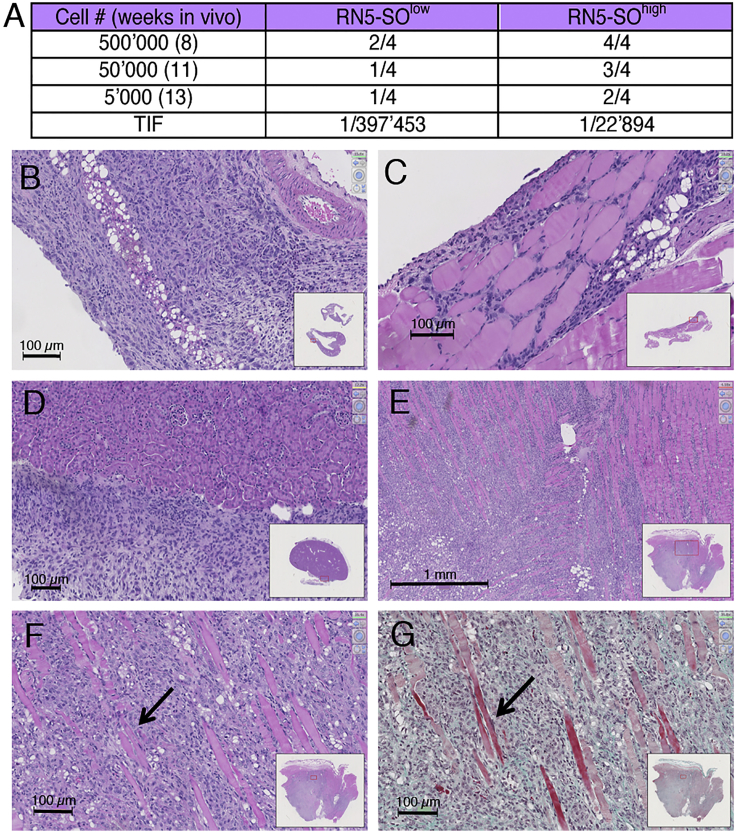 Figure 5