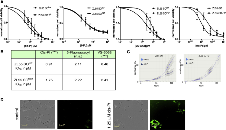 Figure 2