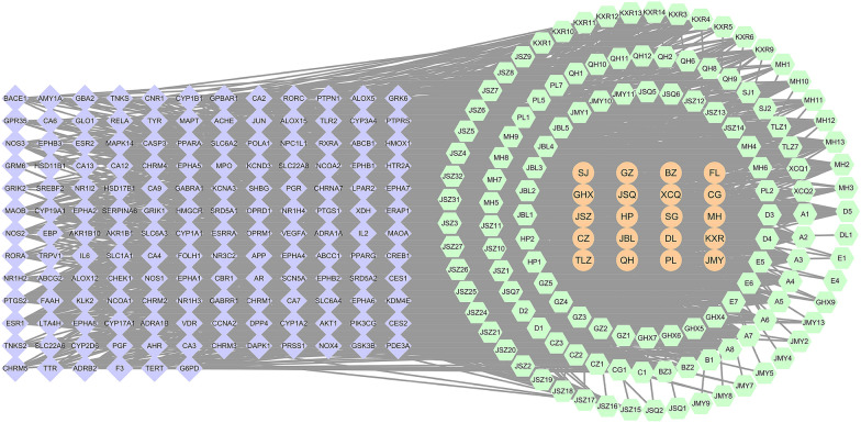 Fig. 1