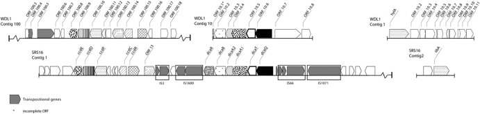 Fig 3