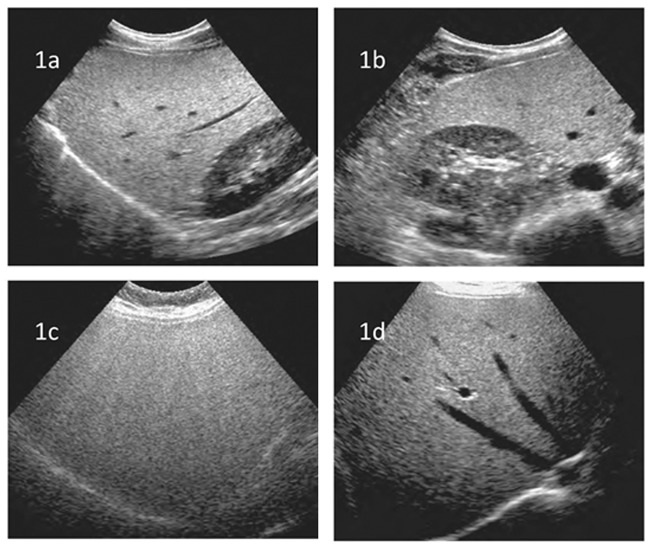 Figure 1.