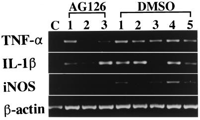 FIG. 8