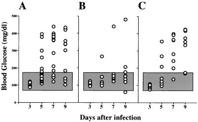 FIG. 6