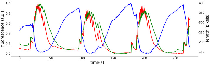 Fig. 5.