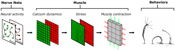 Fig. 2.