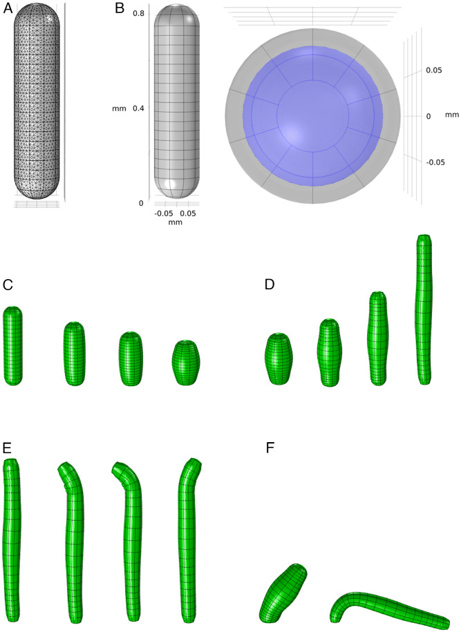 Fig. 6.