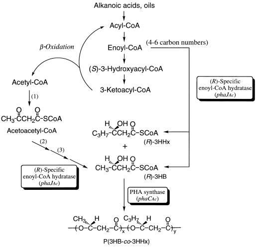 FIG. 6