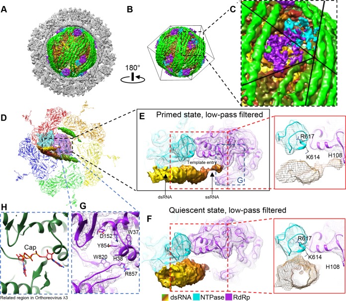 FIG 13