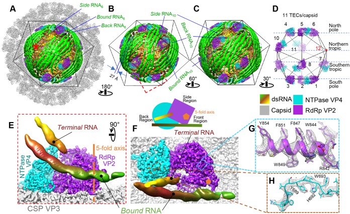 FIG 4