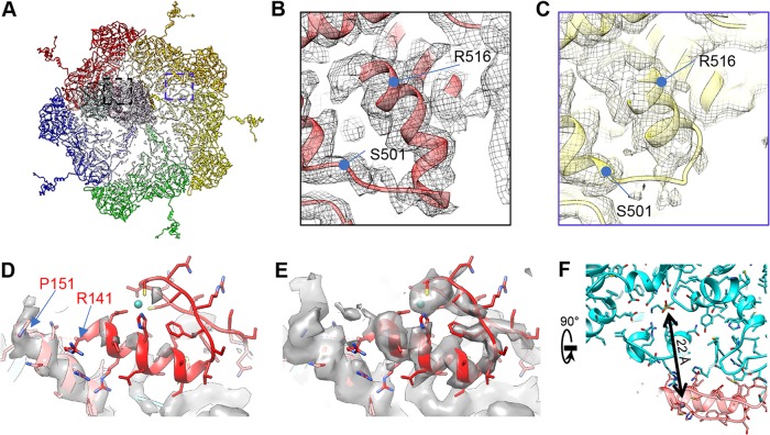 FIG 10