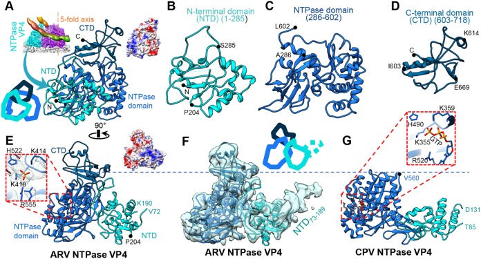 FIG 6