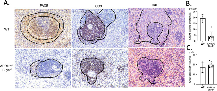 Fig 13