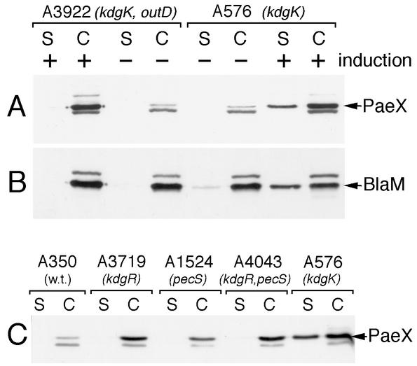 FIG. 6.