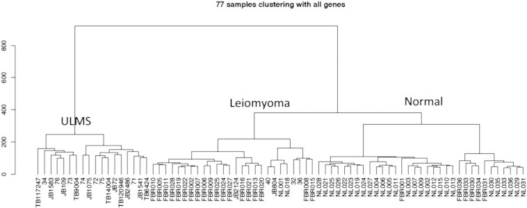 Figure 1