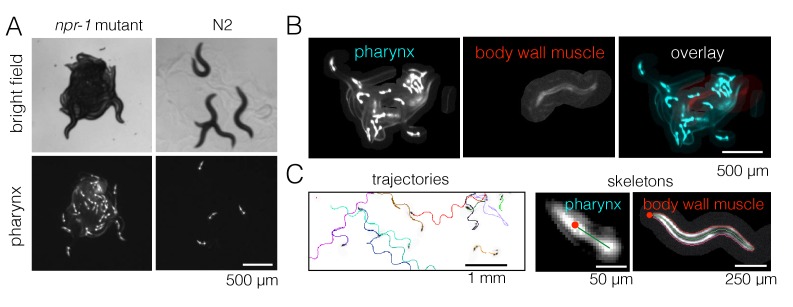 Figure 2.