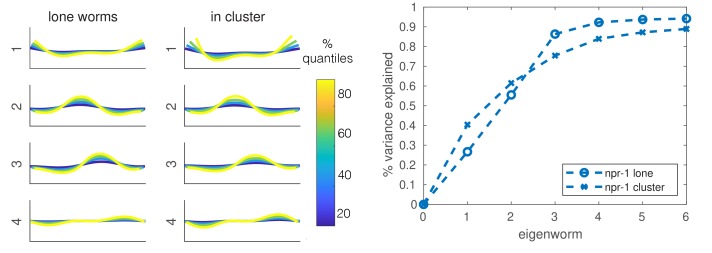 Figure 3—figure supplement 2.