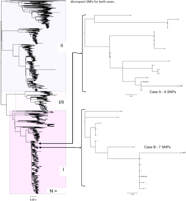 Figure 6: