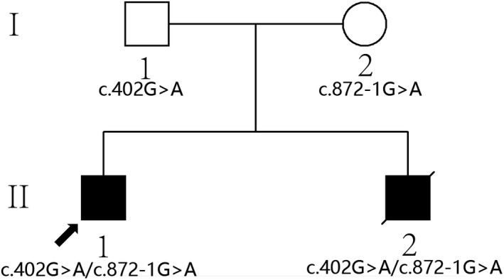 FIGURE 1