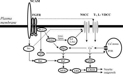 Figure 9.