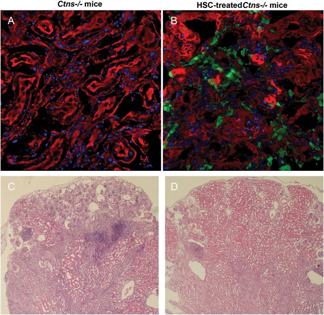 FIGURE 1: