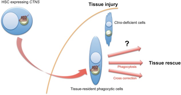 FIGURE 3: