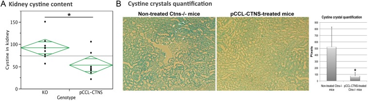 FIGURE 2: