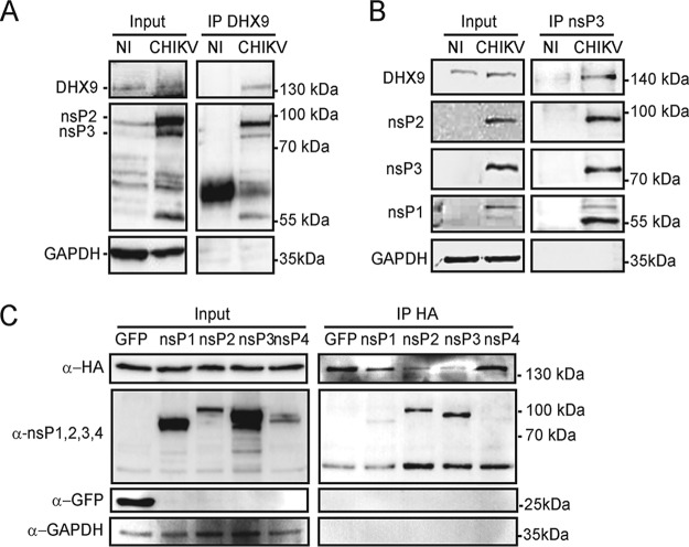 FIG 1