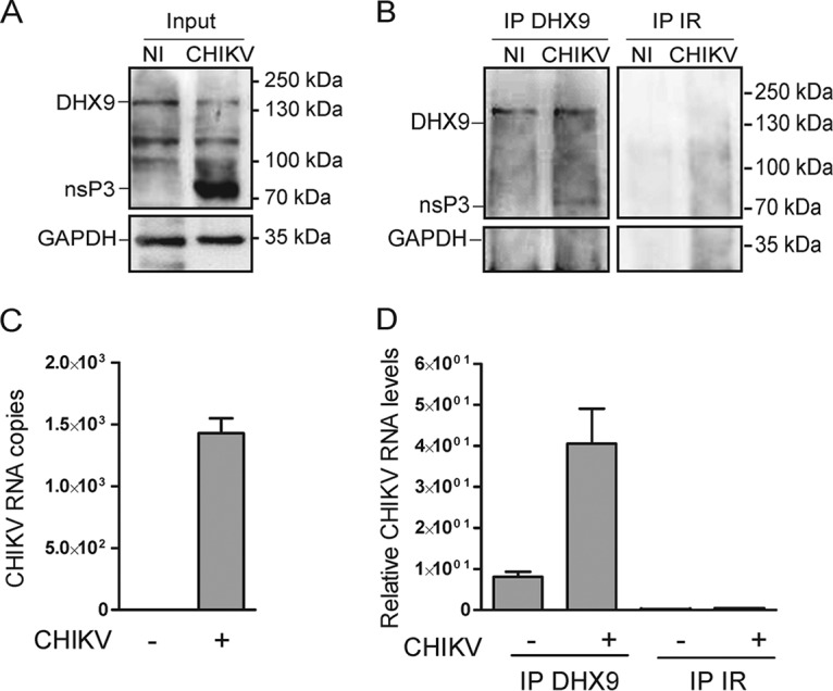 FIG 6