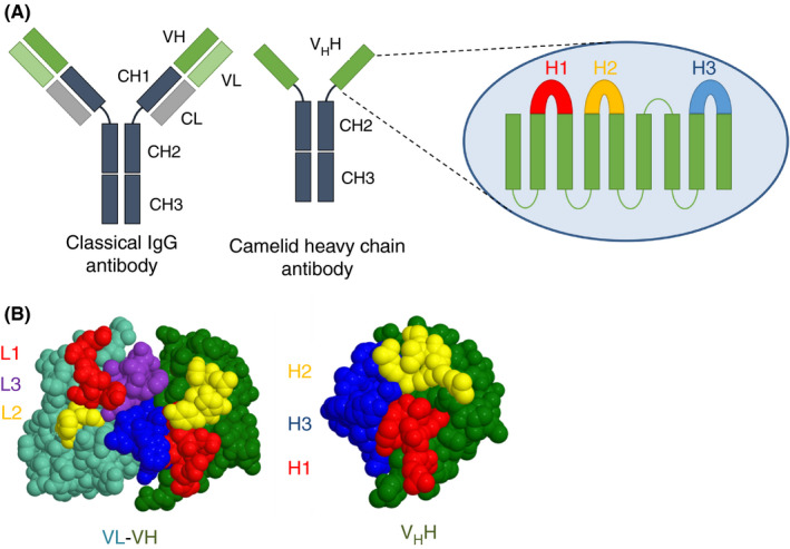 FIGURE 1