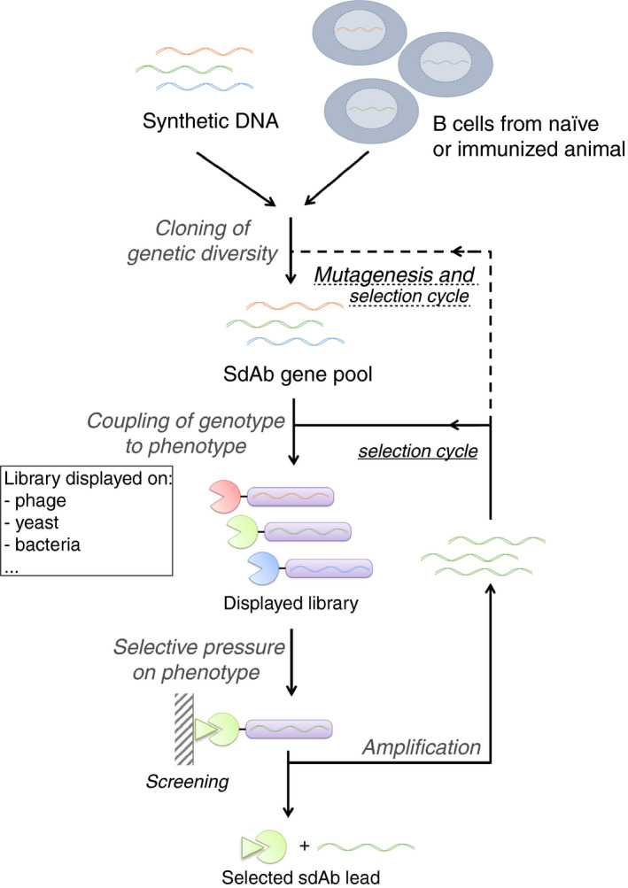 FIGURE 2