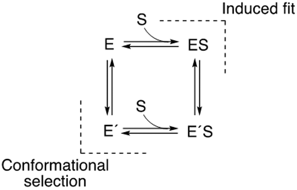 Scheme 1.